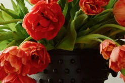 Vaser|Krukor & Krukfat*Josef Frank Kruka Hortus