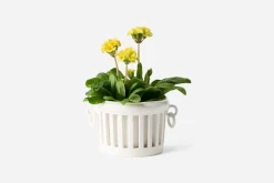 Krukor & Krukfat*Bourg Joly Malicorne Kruka Malicorne Sur Sarthe