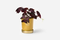 Krukor & Krukfat*Erika Pekkari Kruka Tolvekarna Stengods, Gul