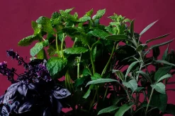 Krukor & Krukfat*Erika Pekkari Kruka Tolvekarna Stengods, Gul