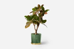 Krukor & Krukfat*Erika Pekkari Kruka Tolvekarna Celadon