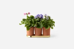 Krukor & Krukfat*Erika Pekkari Kruka Tolvekarna Terrakotta, Terrakotta