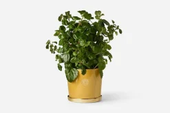 Krukor & Krukfat*Erika Pekkari Kruka Tolvekarna Gul