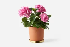 Krukor & Krukfat*Erika Pekkari Kruka Tolvekarna