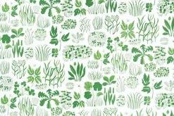 Tapetprover*Josef Frank Tapetprov Söndagsmorgon Grön