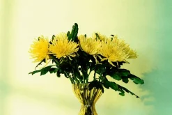 Vaser*Ann Wåhlström Vas Iris Bärnsten