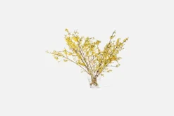 Vaser*Ann Wåhlström Vas Iris Klar