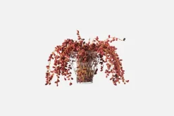 Vaser*Josef Frank Vas Nr 7