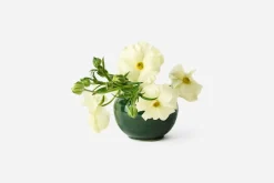 Vaser*Annali Shulin Andersson Vas Oribegrön